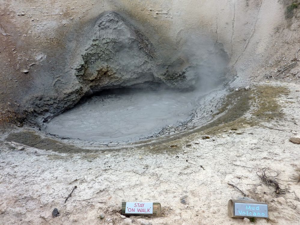 Yellowstone Mud Volcano Area (18).JPG